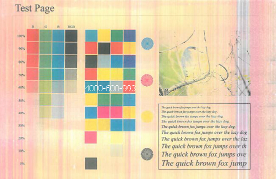 柯尼卡美能達彩色復印機C364打印彩色效果圖-科頤辦公