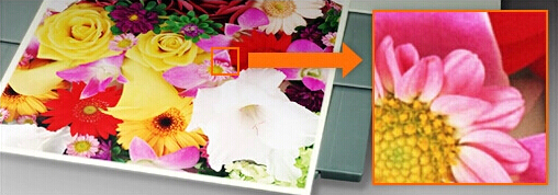 柯尼卡美能達(dá)C658原裝碳粉輸出效果