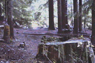 ▲地球環(huán)境不斷惡化